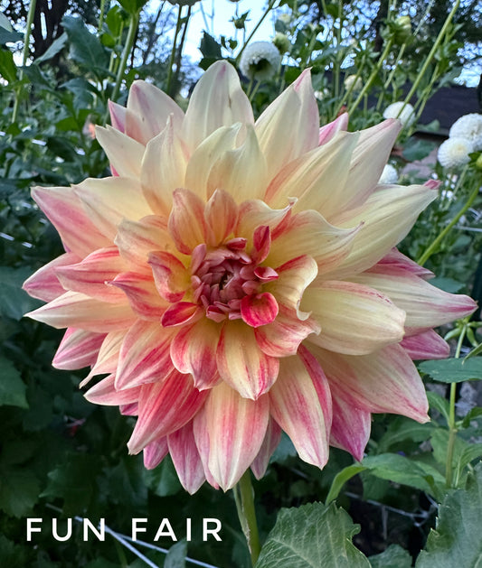 Funfair